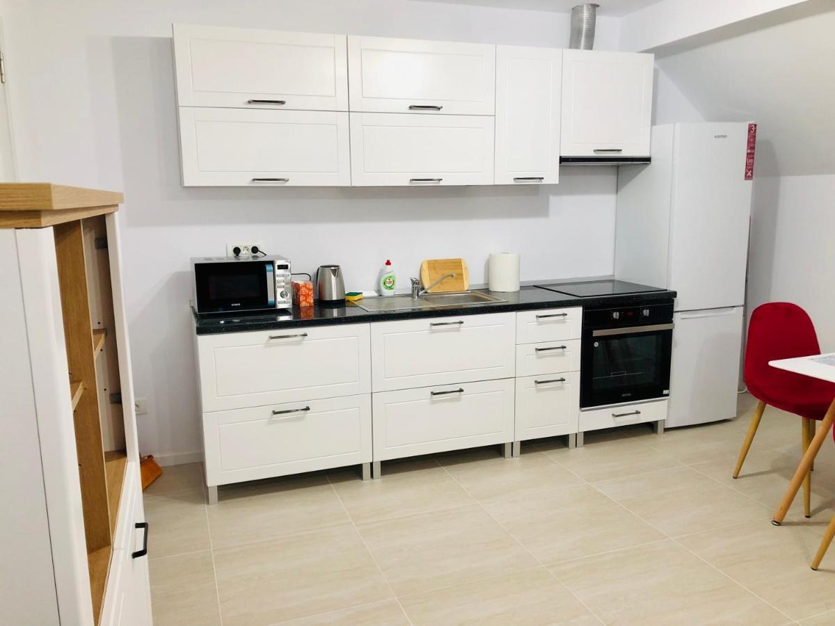 New And Modern Apartments In Villa, Near City Center M36 Timisoara Esterno foto