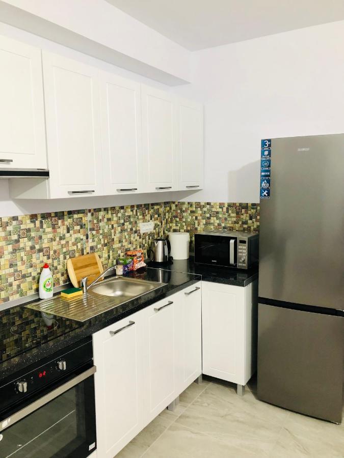 New And Modern Apartments In Villa, Near City Center M36 Timisoara Esterno foto